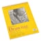 12 Pack: Strathmore® 300 Series Wired Drawing Paper Pad, 50 Sheets